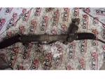 Ford Transit Direksiyon Kutusu A0009476