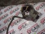 Skoda Octavia Depo Kapağı İç Plastiği