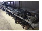 Radyo Çalar Uzaktan Kumanda 255522448R 344422023Gb Renault Clio