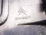 Citroen C5 Orta Konsol Kapağı 9685463277