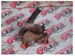 Toyota Corolla El Freni Kolu-A013611