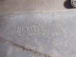 Renault Kangoo Bagaj Kapağı Plastiği 7700304755