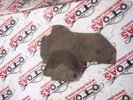Opel Corsa C Alt Plastik