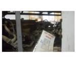 Renault Megane 2 1500 Dizel 2007 Motor