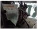 Hyundai Era 1400 Benzin Yarım Motor 2009