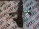 Toyota Corona Cam Motoru Arka Sol - 8571020191