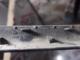 Opel Astra H Kapı İç Plastiği 13121853