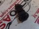Nissan Qashqai Hava Yastığı Devre Dışı Bırakma Anahtarı - 25585Bc600