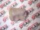 Dacia Lodgy Cam Su Bidonu 8200104706