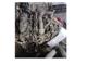 Dacia Jogger 2023 1.0 Benzinli Komple Motor H5dc490d065336