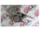 Mitsubishi L200 Sağ Arka Cam Kontrol Motoru-Ae062040-2760