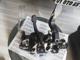 Linea 1.6 Pedal Takımı 0518519240E