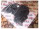 Toyota Corolla Zemin Altı Kapağı (Alt Panel)-58398-12040