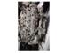 Dacia Sandero 1.5 Dizel 2012 Model Komple Motor K9ke8r100832