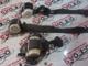 Opel Meriva Emniyet Kemeri - 34083026B