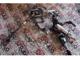 Opel Corsa E Direksiyon Kolonu 38018128