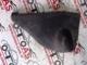 Seat Cordoba Konsol Kapağı Sol - 6L0857085