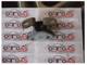 Toyota Corolla Kapı Menteşesi-A046694