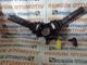 Opel İnsignia 95994799 Bsh-Pfjpk4r0 Sinyal Kolu