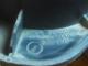 Nissan Qashqai İç Plastik - 48474Jd000