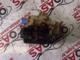 Seat Cordoba Ön Sağ Kapı Kilidi - 16Bq3b1837016bq