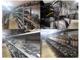 Fluence Ön Helezon Yayı 540100043R