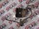 Citroen C5 Diskli Fren Kaliperi 21444A01