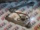 Renault Clio 3 Cam Krikosu Sağ Ön 8200291147