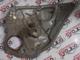 Volkswagen Golf 5 Cam Mekanizması Ve Motoru - 6Q0959812c