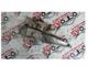 Mitsubishi L200 Sağ Arka Cam Kontrol Motoru-Ae062040-2760