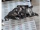 Suzuki Sx4 S-Cross 2024 Sağ Ön Far Ra22 6429R 00081